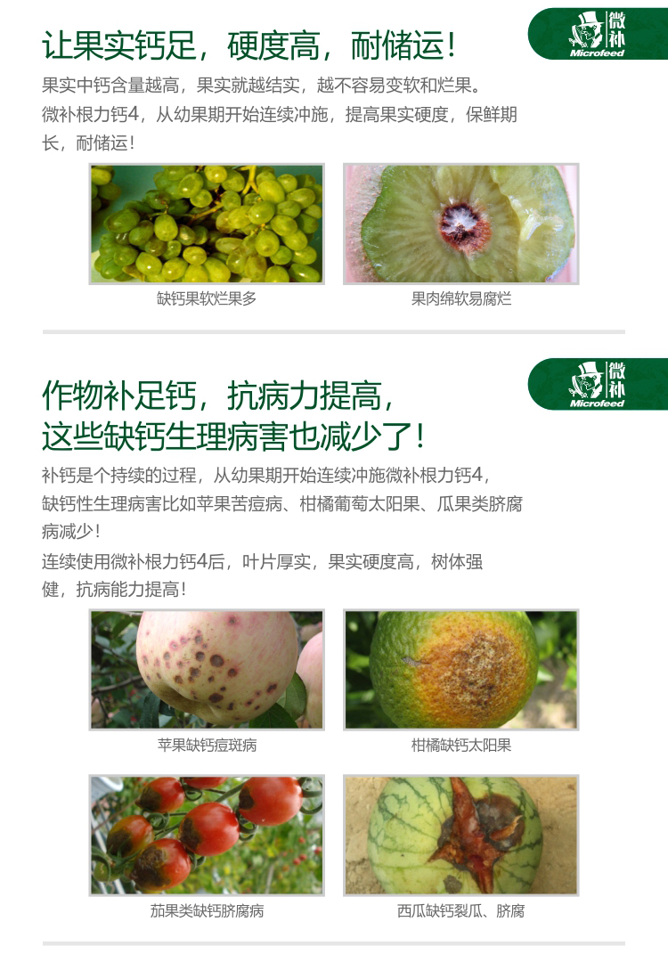 微補根力鈣4