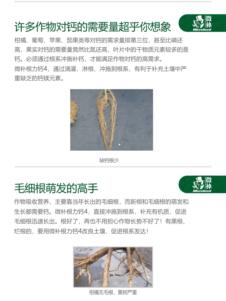 微補根力鈣4