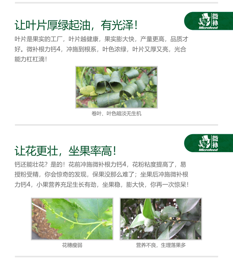 微補根力鈣4