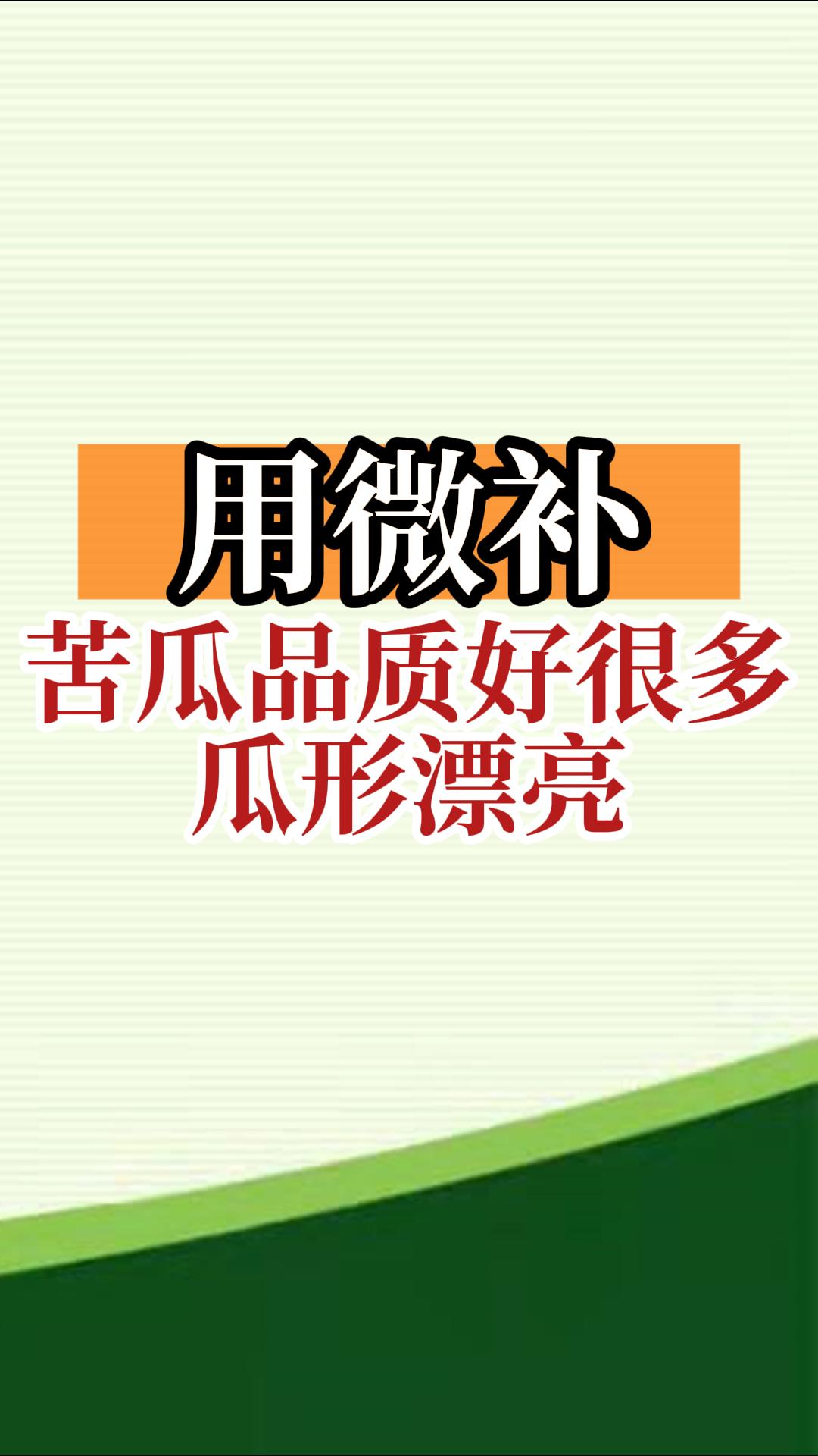 用微補，苦瓜品質(zhì)好很多，瓜形漂亮