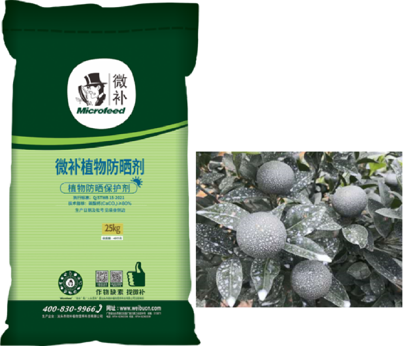 圖片2