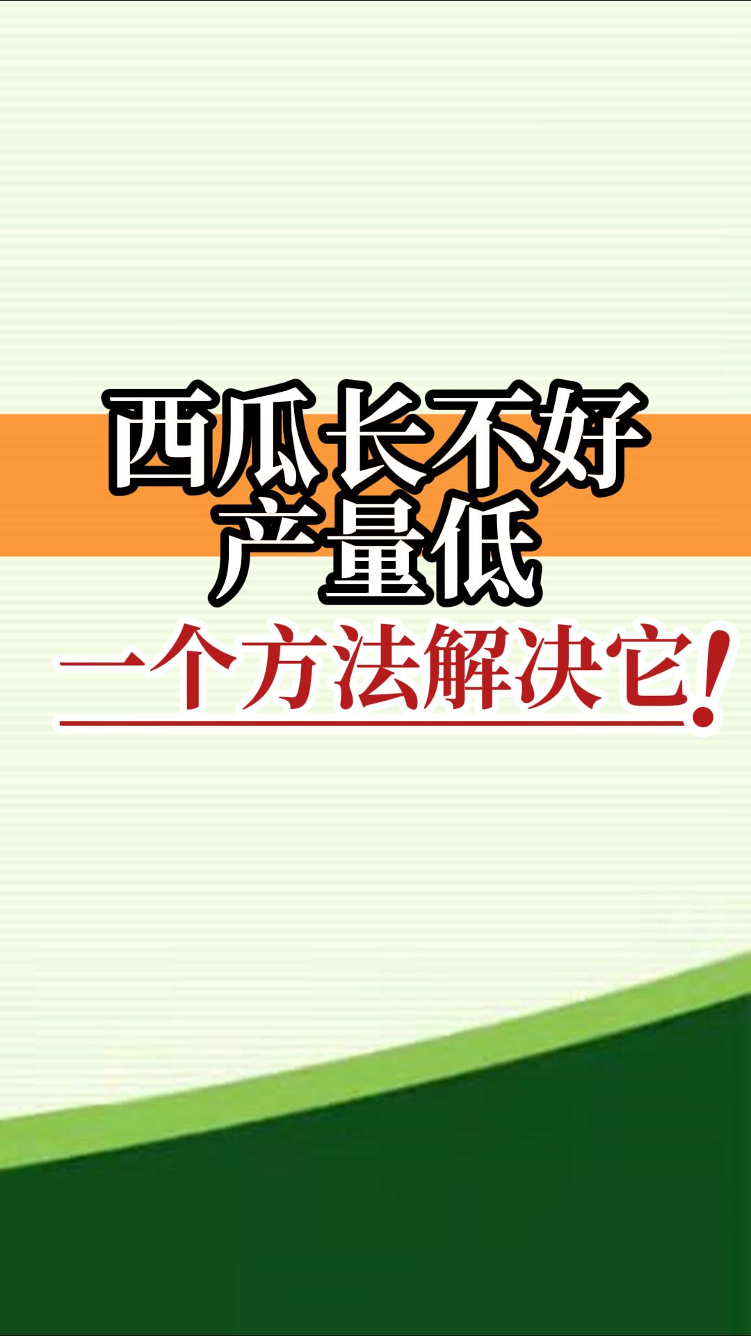 西瓜長不好產(chǎn)量低？