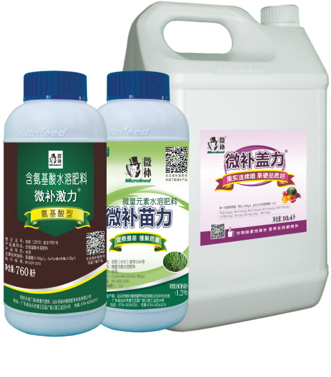 讓作物安全過冬的實用小妙招，速看