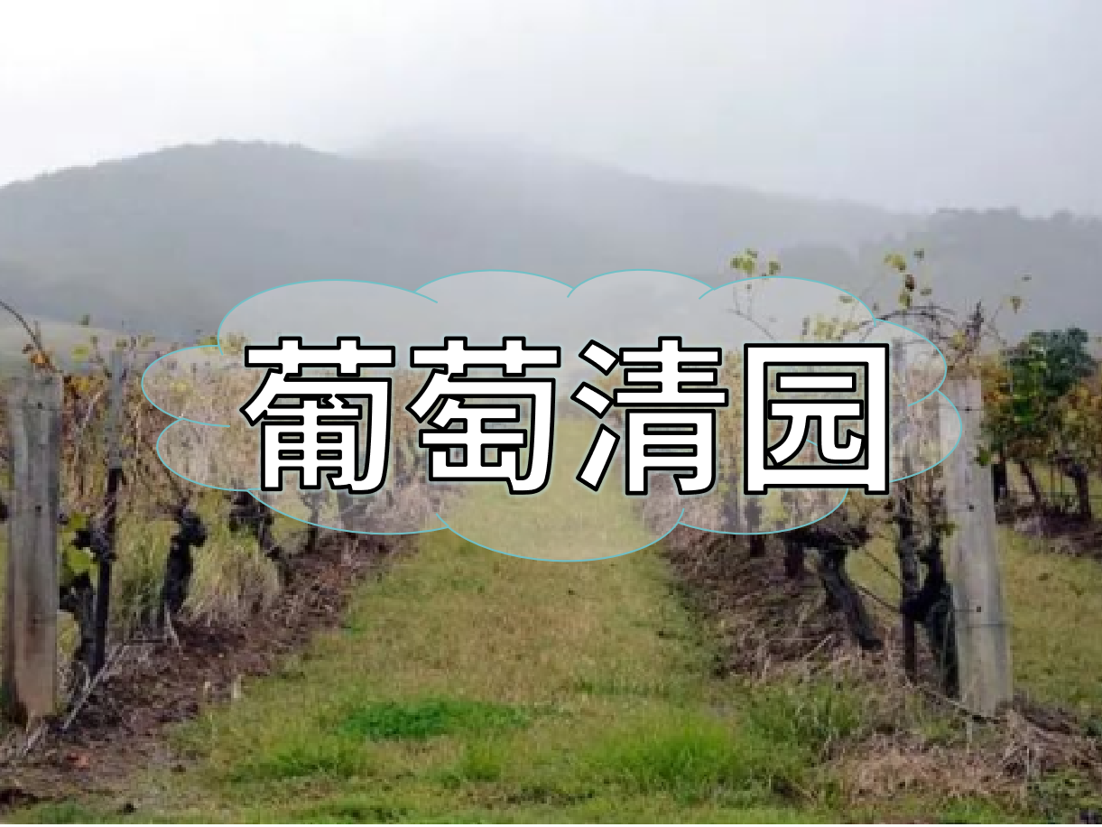 葡萄清園怎么進(jìn)行？