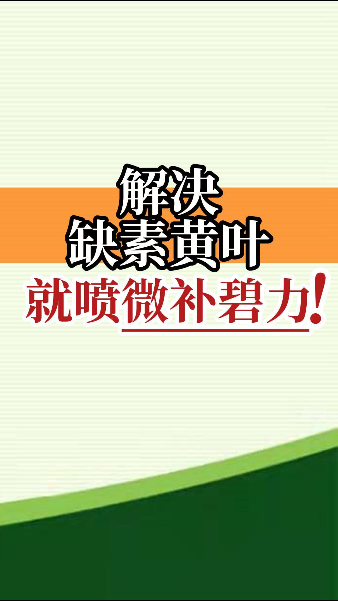 解決缺素黃葉就噴微補(bǔ)碧力！